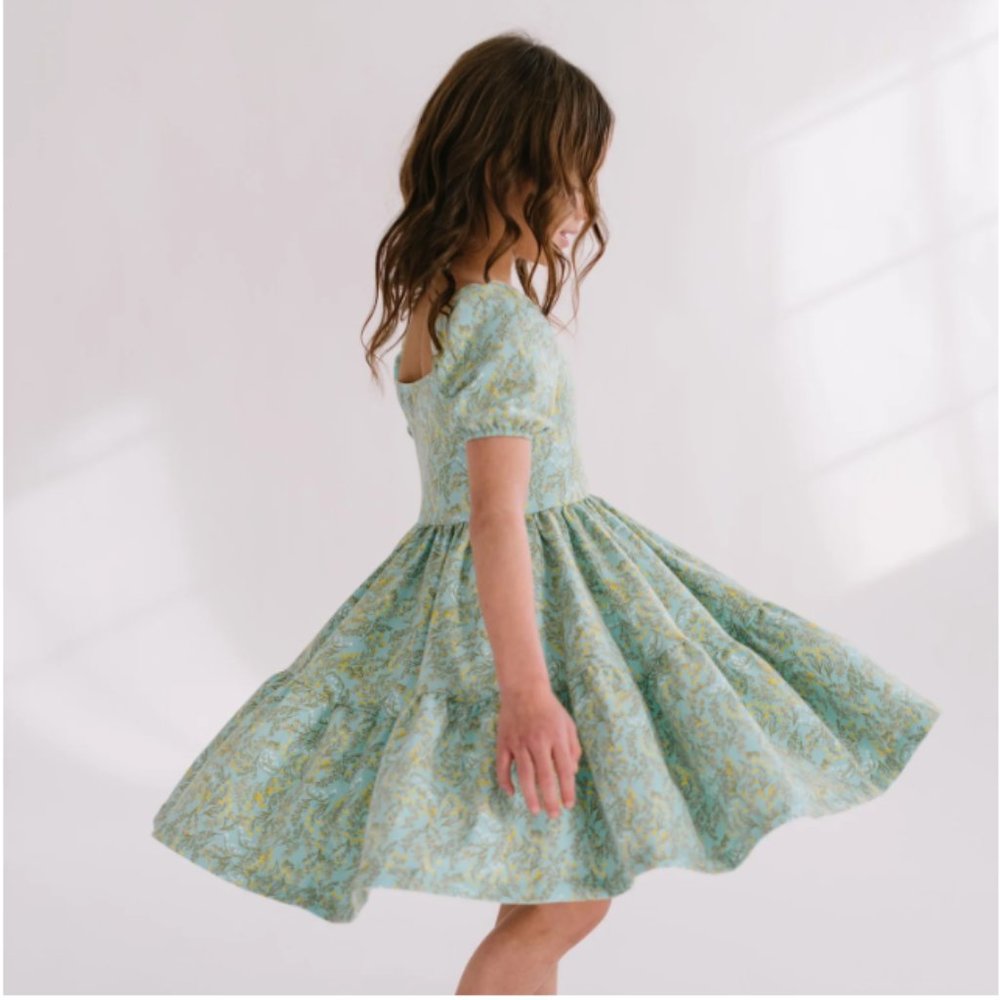 NEW Alice + Ames Summer Meadow Juliet Dress - Size 5